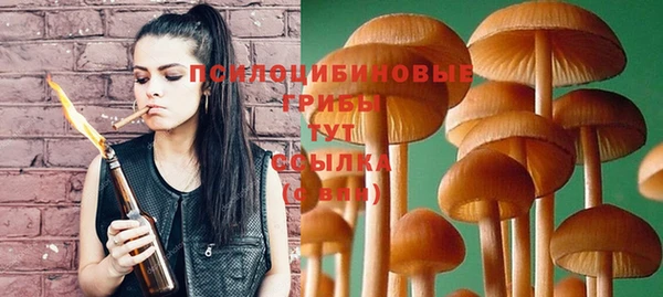 ПСИЛОЦИБИНОВЫЕ ГРИБЫ Михайловск