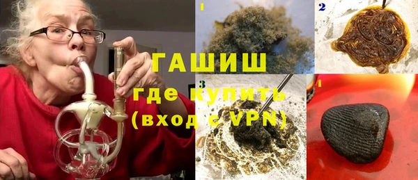 сатива Медногорск
