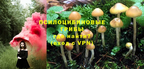 дживик Михайлов