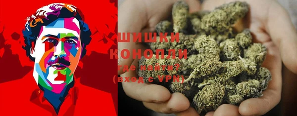 ПСИЛОЦИБИНОВЫЕ ГРИБЫ Михайловск