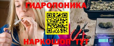 apvp Гусев