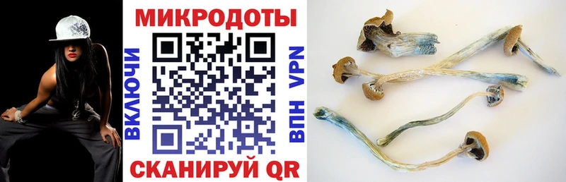 где можно купить   Коркино  Псилоцибиновые грибы ЛСД 