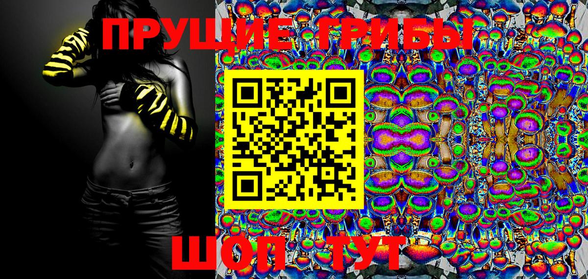 где продают наркотики  Коркино  Галлюциногенные грибы MAGIC MUSHROOMS 