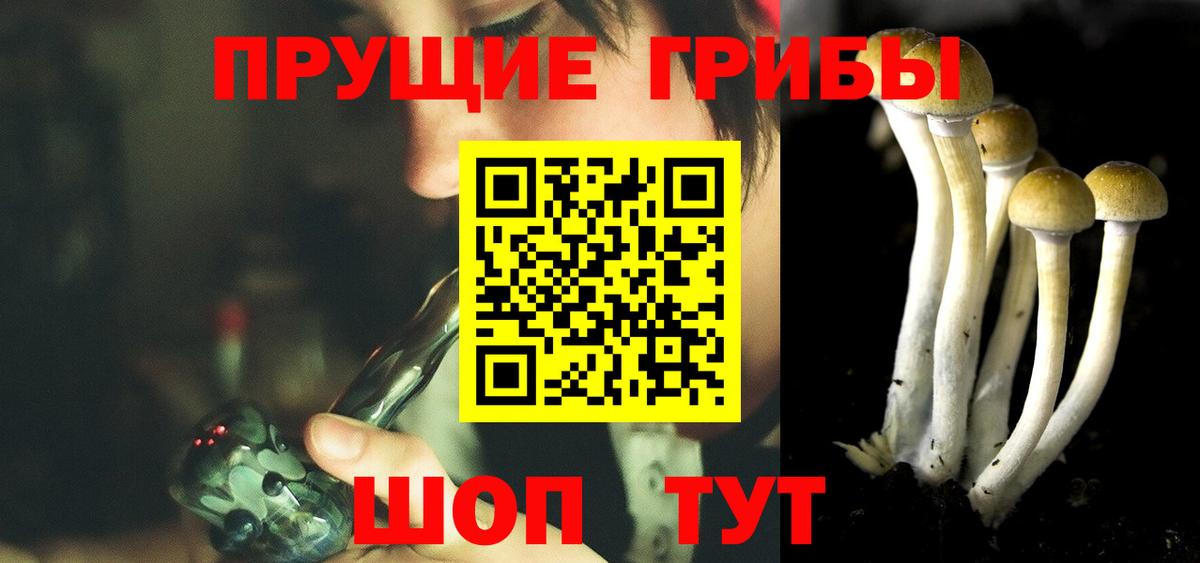 Псилоцибиновые грибы прущие грибы  Вход с VPN  Коркино  Псилоцибиновые грибы Magic Shrooms 