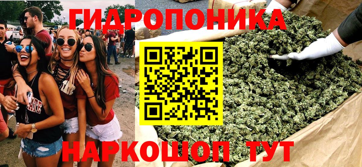 Каннабис марихуана Коркино